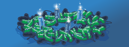 HI MS & MEET Christmas Party 2023